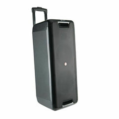 Wireless Bluetooth Speaker NGS WILD RAVE 2 Black 300 W